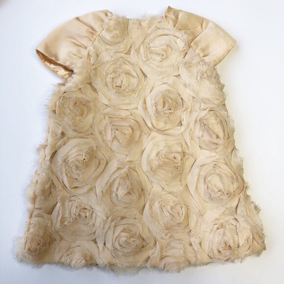 The Children’s Place Champagne Tulle Rose Dress - Picture 6 of 7